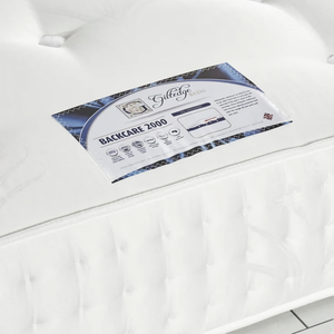 BACKCARE 2000 DHF Furnishing