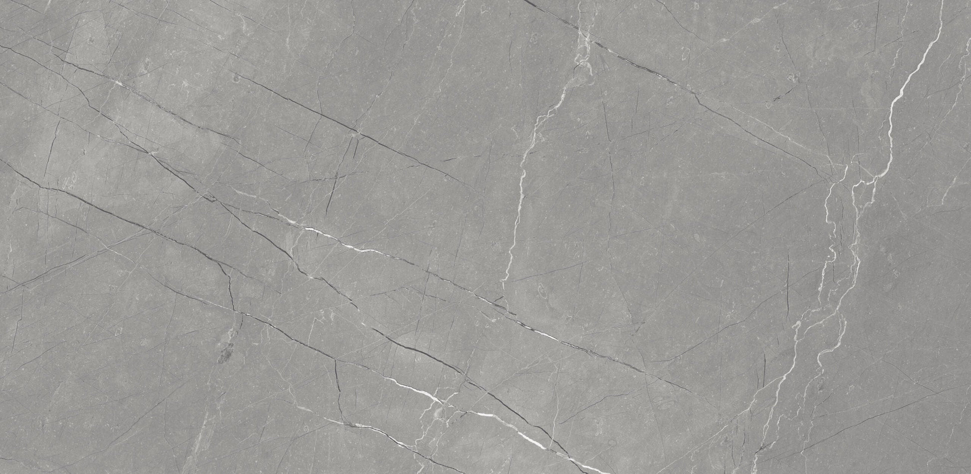 Fine Argenta Grey Glossy 600mm x 1200mm DHF Furnishing