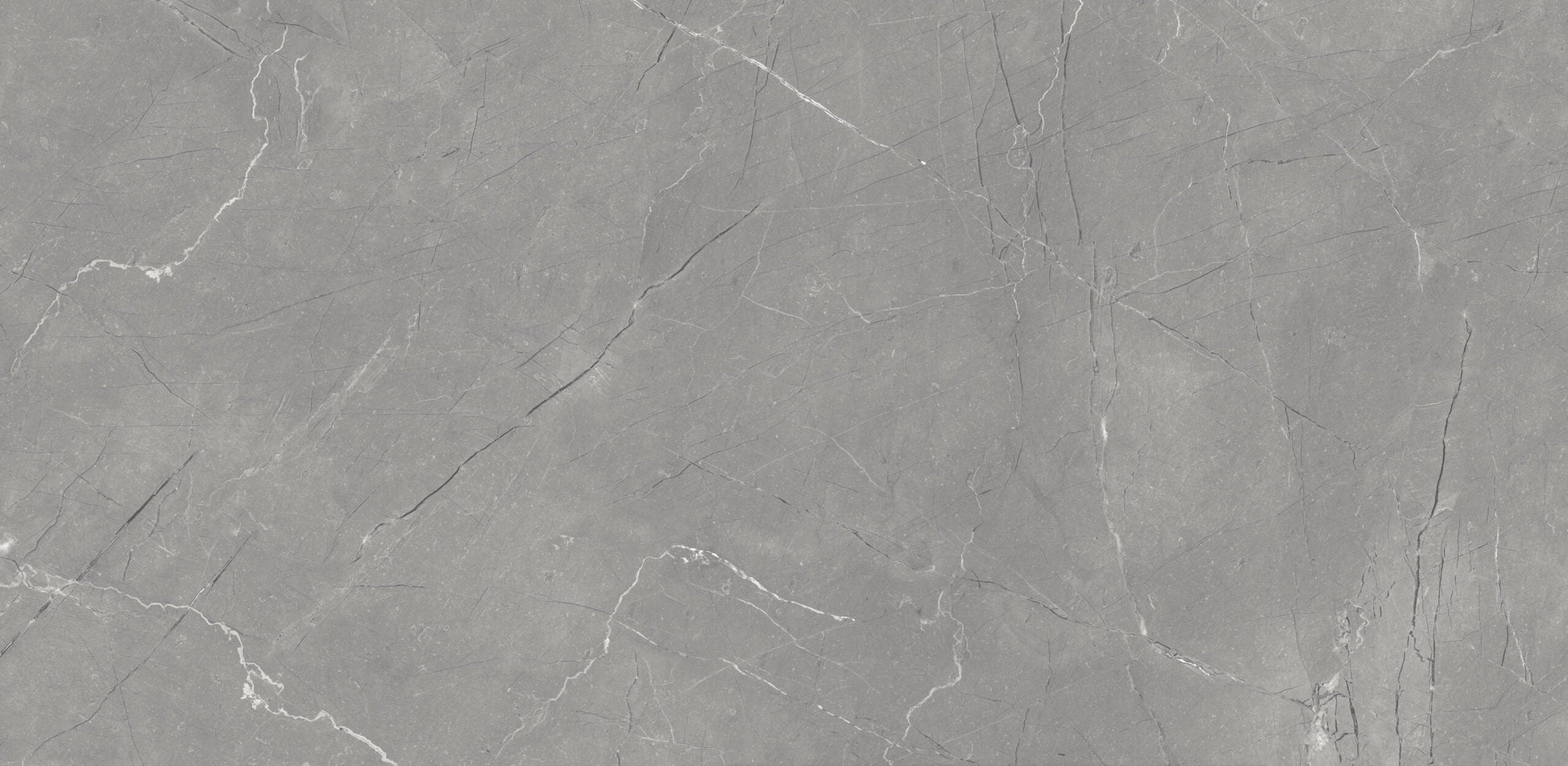 Fine Argenta Grey Glossy 600mm x 1200mm DHF Furnishing