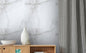 Sky Onyx Grey Glossy 600mm x 1200mm DHF Furnishing